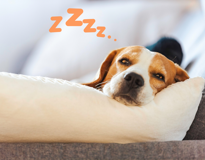 Post-Event Recovery: The Art of Doing Nothing (and Why It Matters)