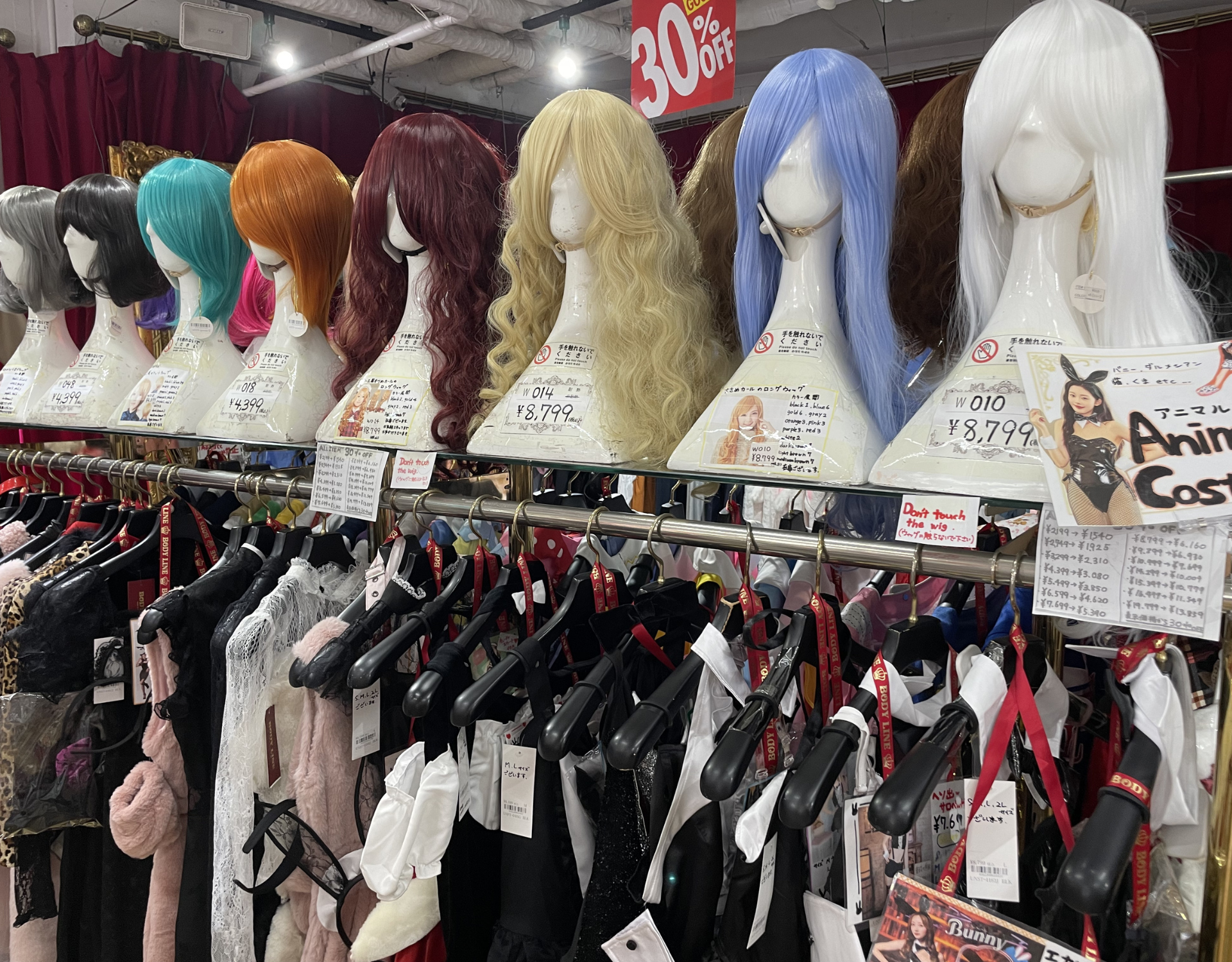 Colin Tries: Buying Cosplay in Akihabara - Honest Store Reviews from Japan